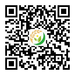 边亲边丢贴身衣物视频二维码