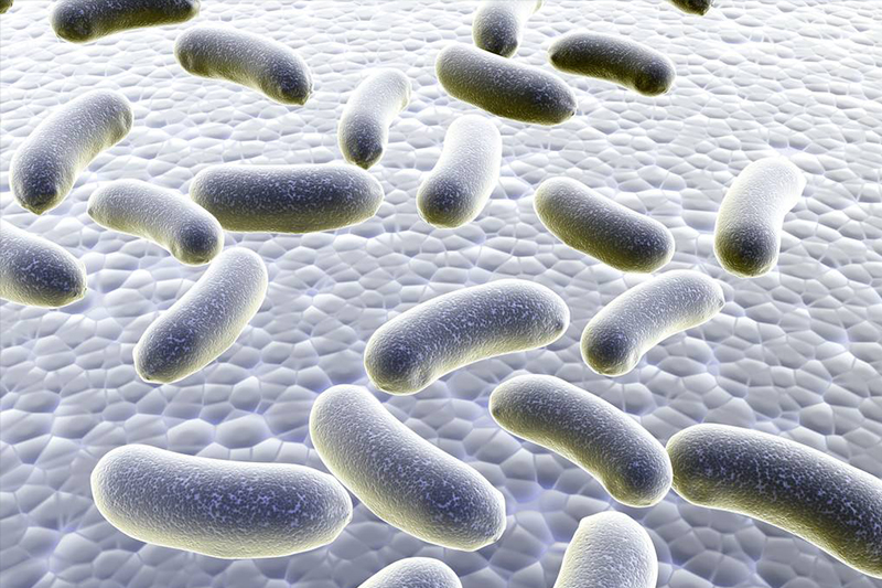 预祝网站上线！