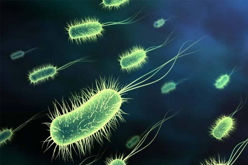 预祝网站上线！